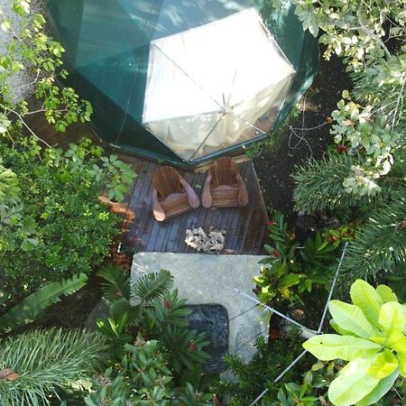 Momotus Glamping Hotel Florencia Luaran gambar