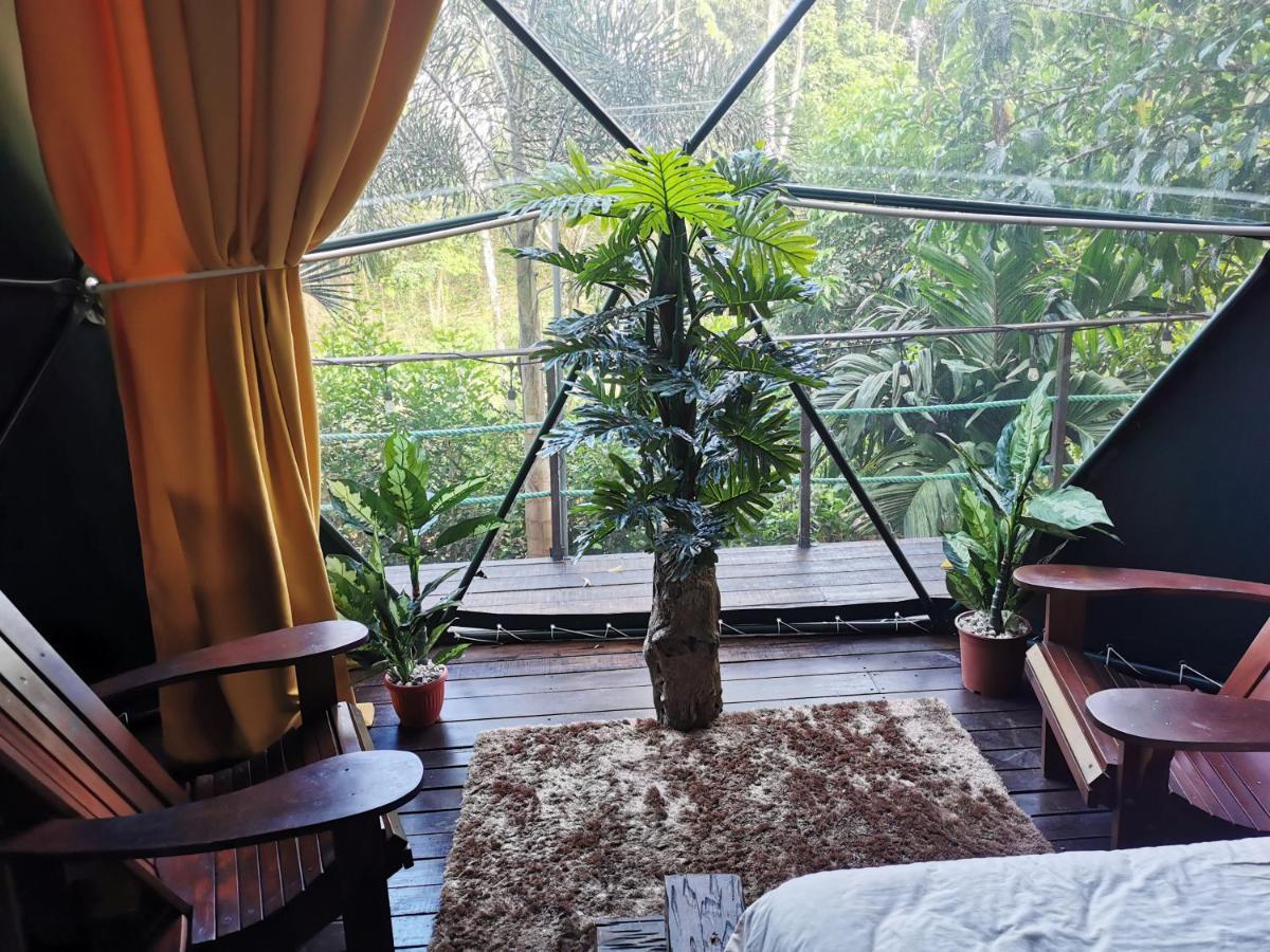 Momotus Glamping Hotel Florencia Luaran gambar