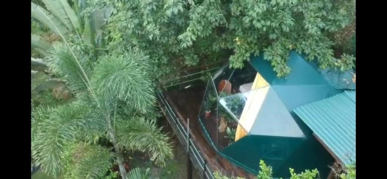 Momotus Glamping Hotel Florencia Luaran gambar