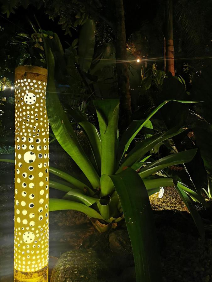 Momotus Glamping Hotel Florencia Luaran gambar