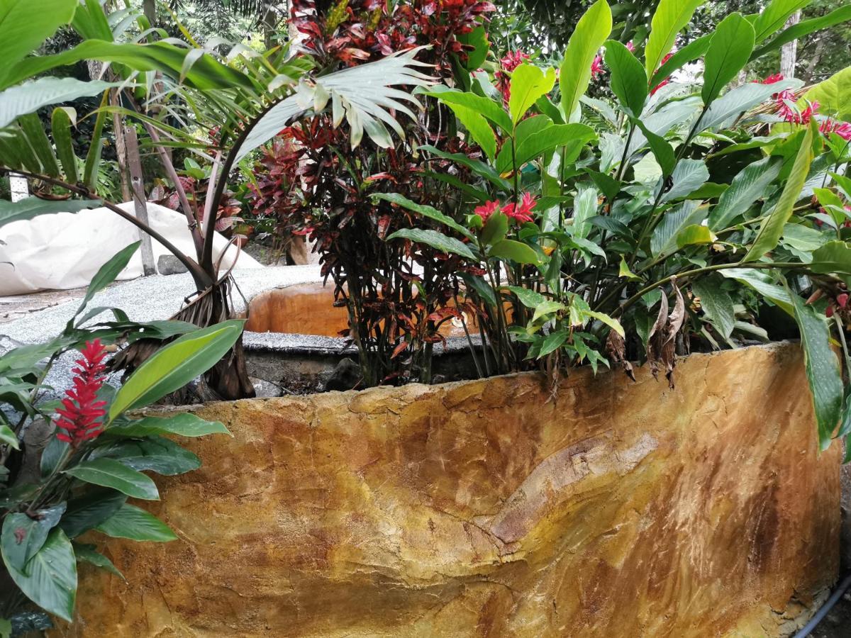 Momotus Glamping Hotel Florencia Luaran gambar