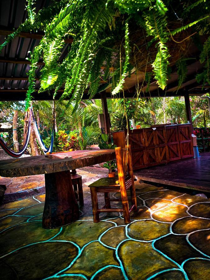 Momotus Glamping Hotel Florencia Luaran gambar