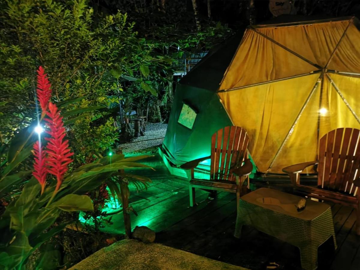 Momotus Glamping Hotel Florencia Luaran gambar