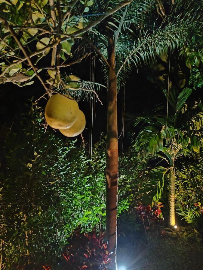 Momotus Glamping Hotel Florencia Luaran gambar