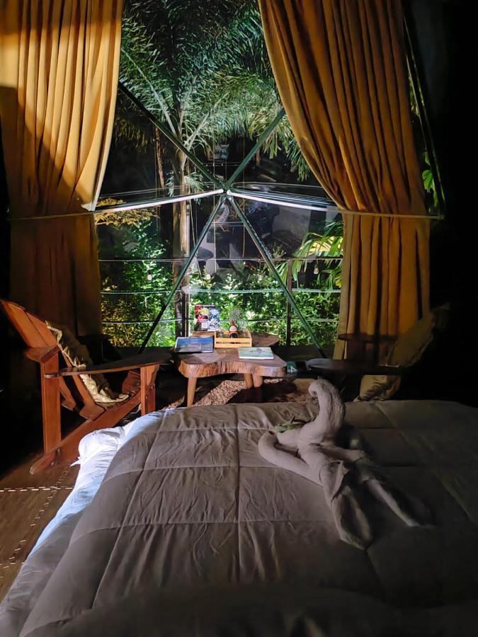 Momotus Glamping Hotel Florencia Luaran gambar