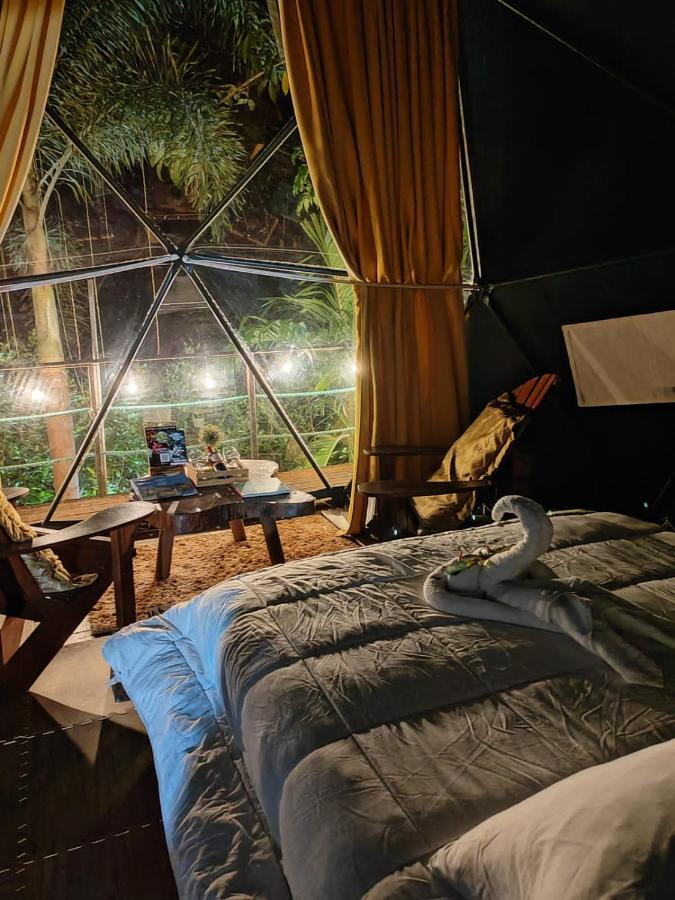 Momotus Glamping Hotel Florencia Luaran gambar