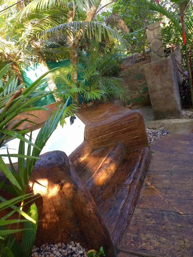 Momotus Glamping Hotel Florencia Luaran gambar