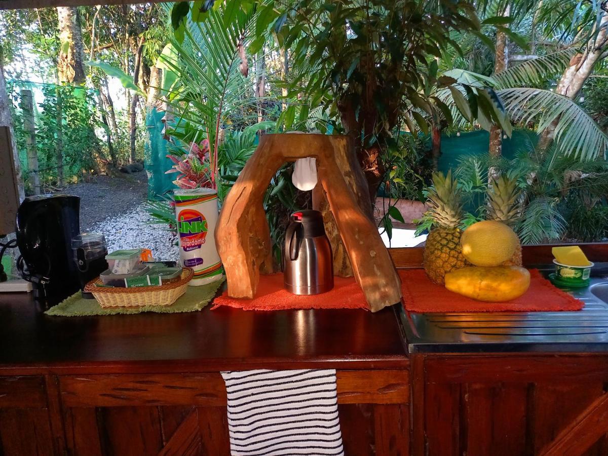 Momotus Glamping Hotel Florencia Luaran gambar