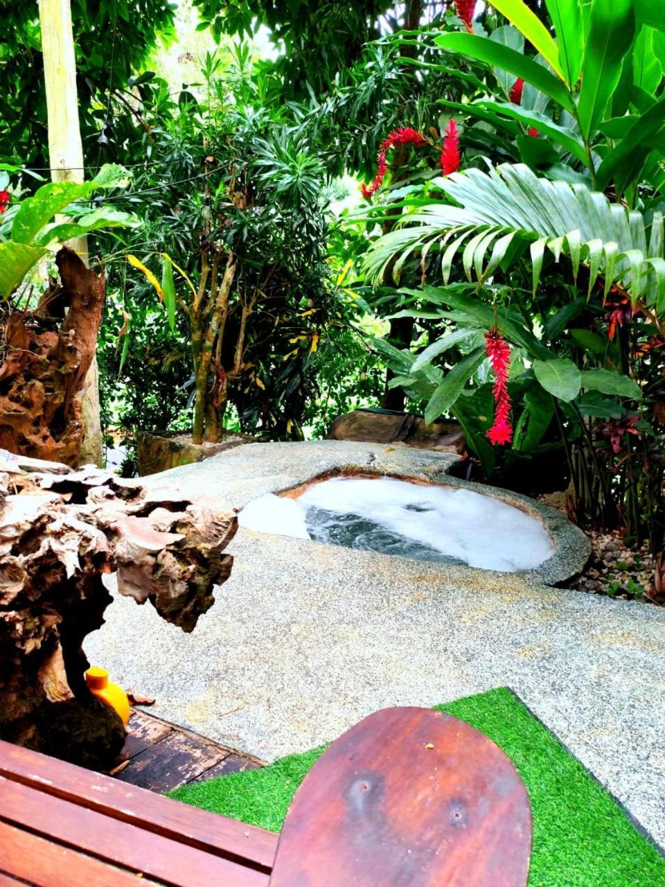 Momotus Glamping Hotel Florencia Luaran gambar