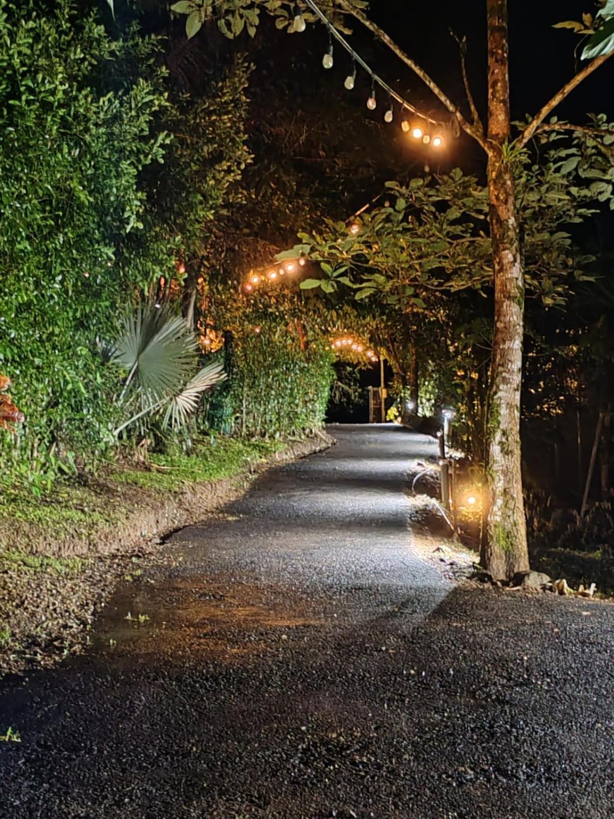 Momotus Glamping Hotel Florencia Luaran gambar