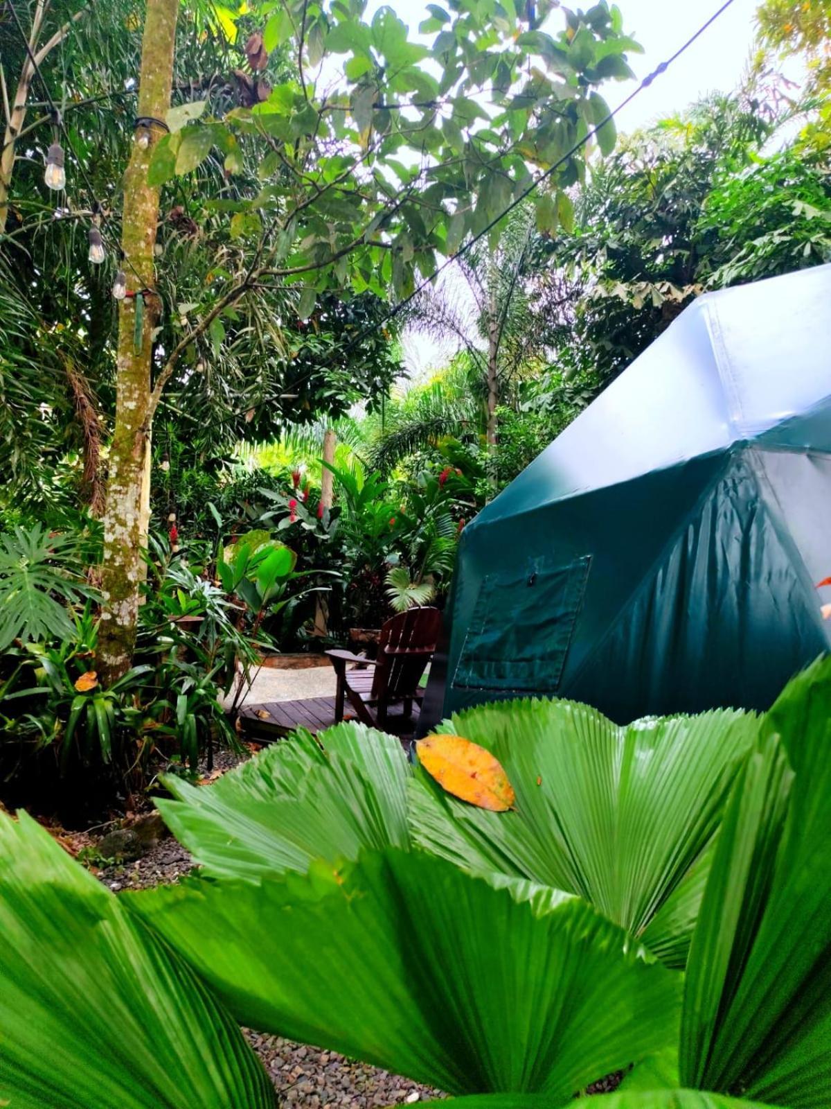Momotus Glamping Hotel Florencia Luaran gambar